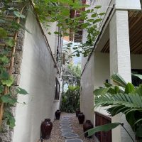 IMG_2339